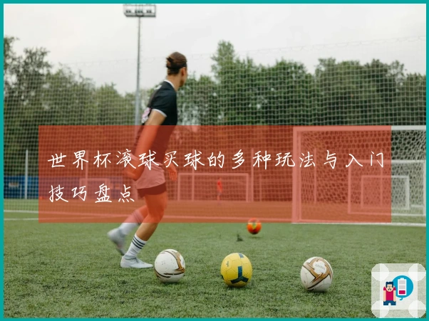 世界杯滚球买球的多种玩法与入门技巧盘点