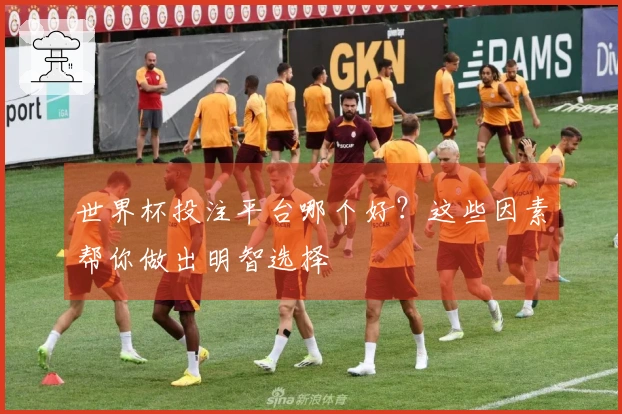 世界杯投注平台哪个好？这些因素帮你做出明智选择