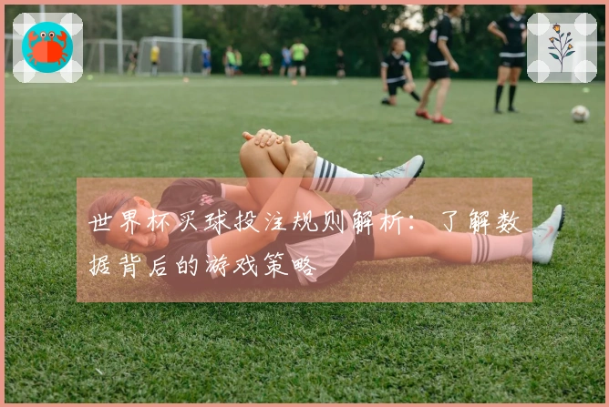 世界杯买球投注规则解析：了解数据背后的游戏策略