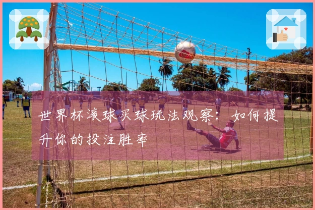 世界杯滚球买球玩法观察：如何提升你的投注胜率