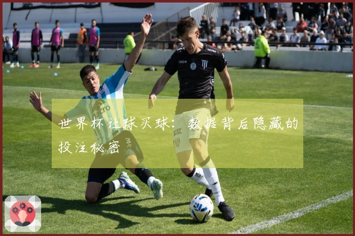 世界杯让球买球：数据背后隐藏的投注秘密