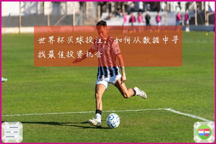 世界杯买球投注：如何从数据中寻找最佳投资机会