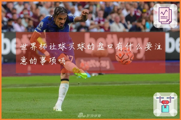 世界杯让球买球的盘口有什么要注意的事项吗