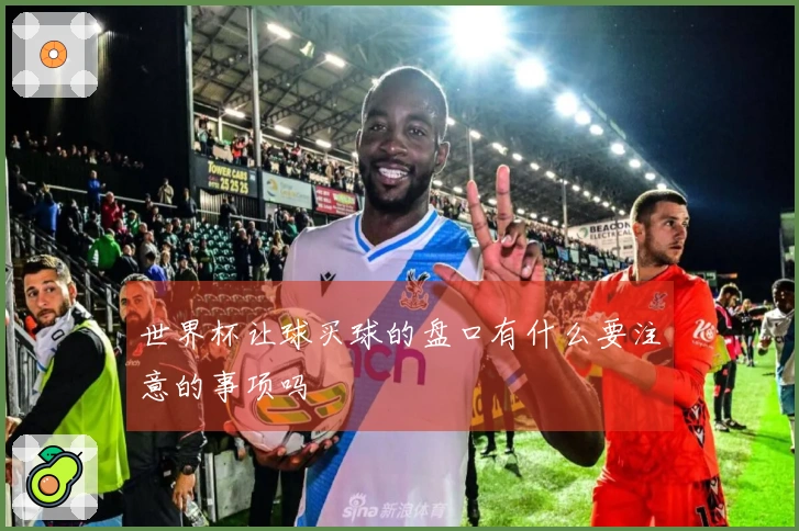 世界杯让球买球的盘口有什么要注意的事项吗